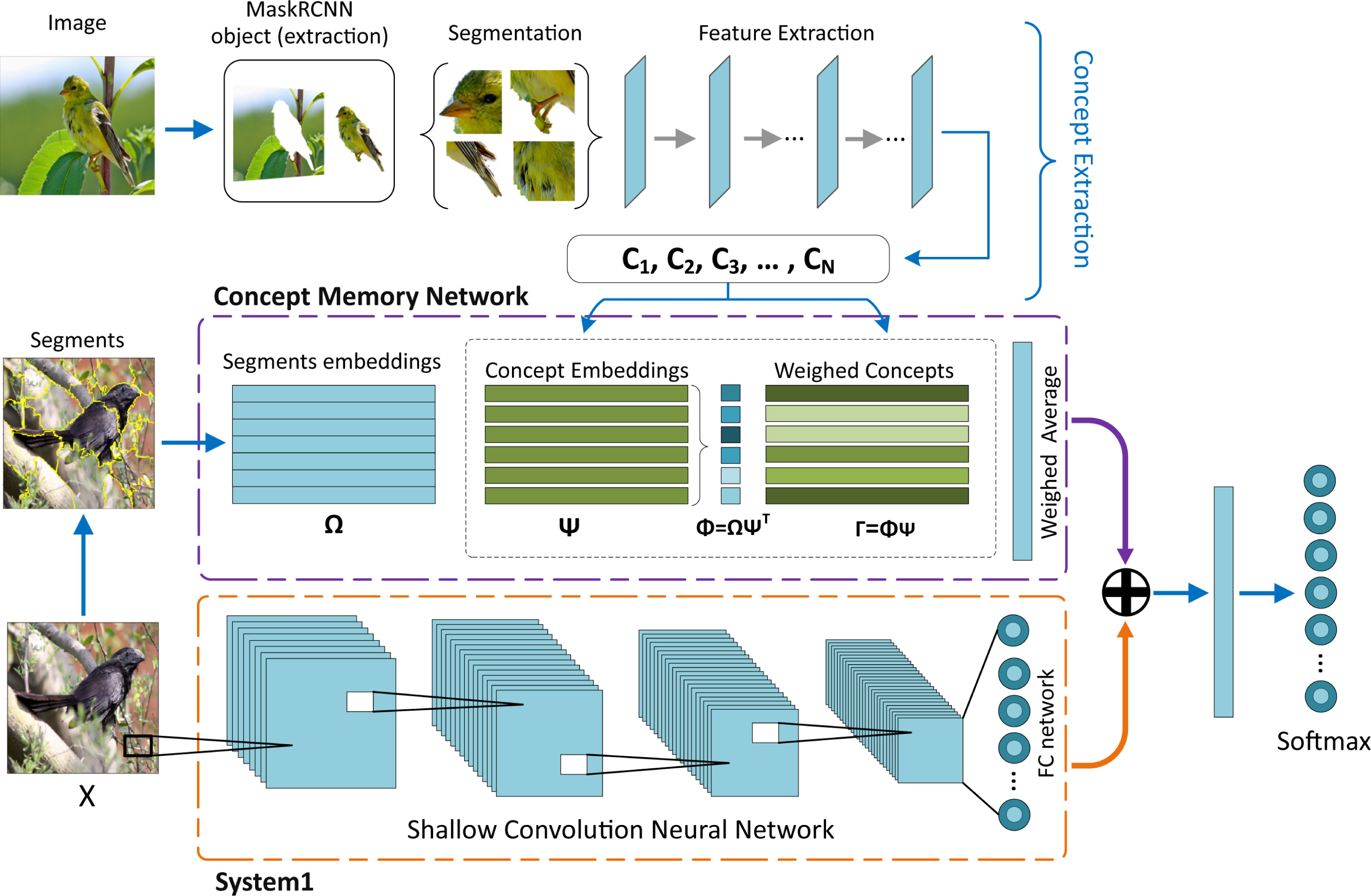 SoFTNet architecture for concept-controlled interpretable image classification